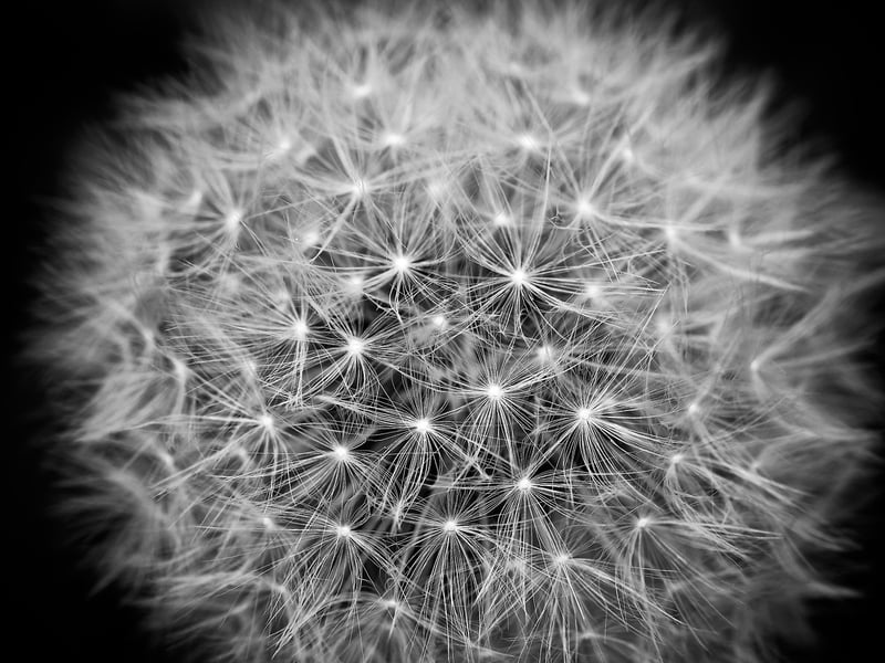Abstract Fractal